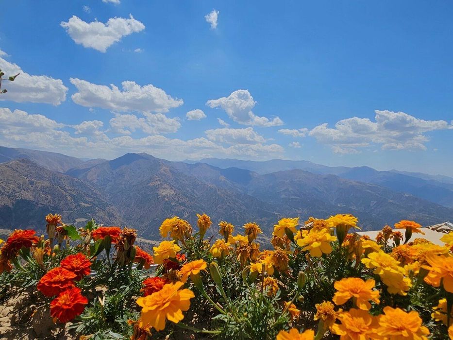 Поездка в горы. Трансфер. Микроавтобус 7 мест, электрокар