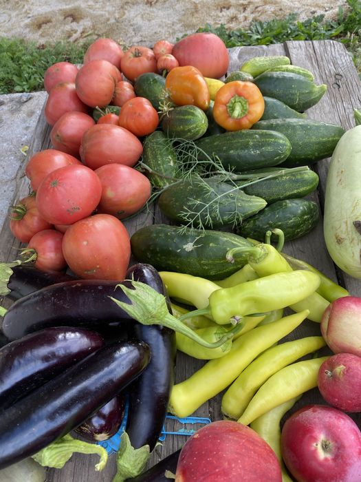 Вторая дачная, на лево.