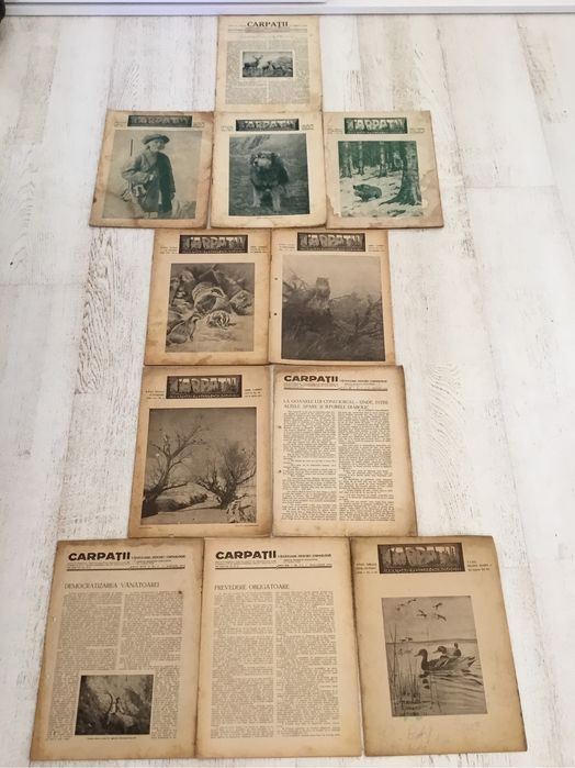 Revista CARPATI vinatoare-pescuit-chinologie