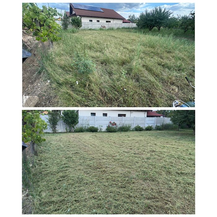 Tuns gazon și scarificări – Întreținere grădini (Persoană fizică)