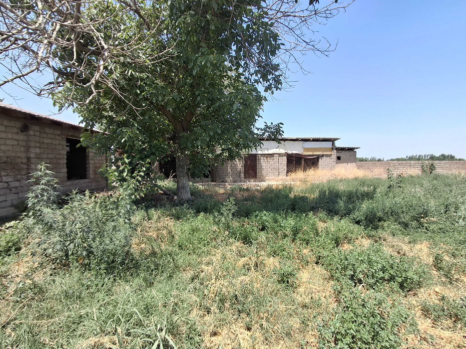 Пскент ховли уй сотилади