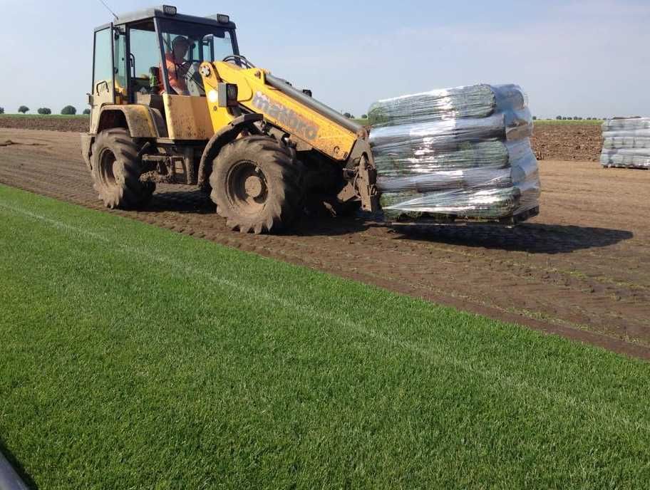 Gazon Rulou Viguros și Des – Plata se face la Livrare