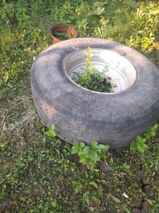 Roti  remorca  de vanzare