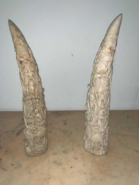 Panoplie Fides decor