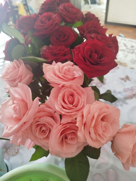 Розы в прекрасном состоянии