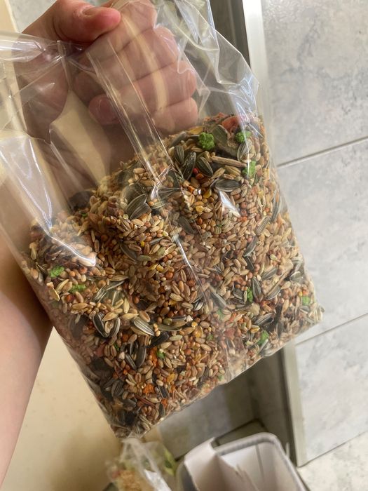 Vand urgent 2 Hamsteri, cu cusca si jucarii. 250 lei in total.