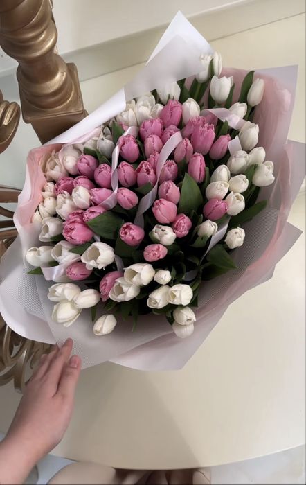 Тюльпаны оптом на 8 марта Алматы