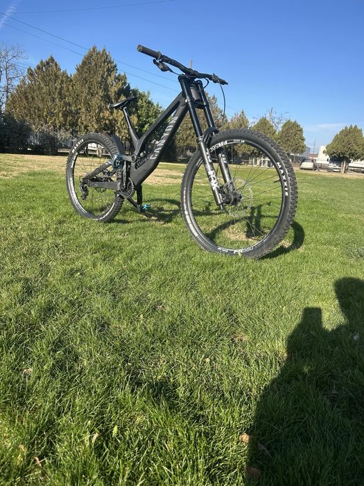 Canyon Sender 2024 Mullet