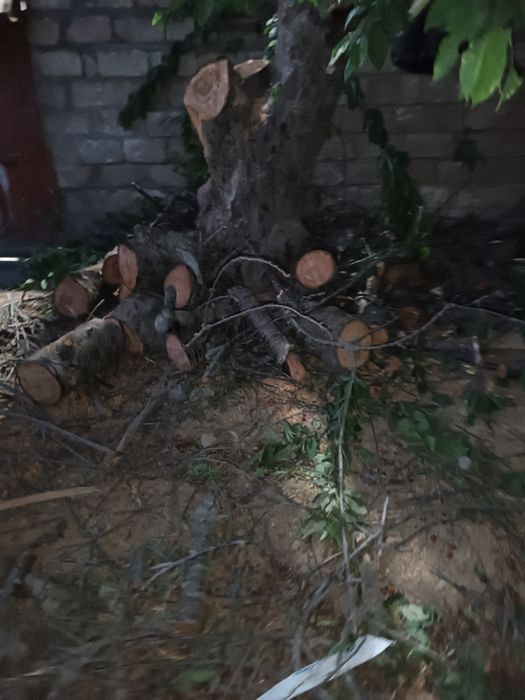 Продается дрова ўтин сотилади срочно