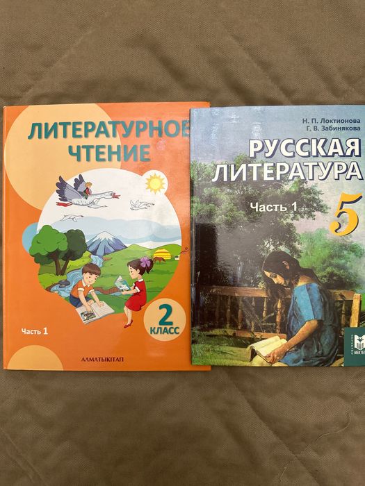 Учебники по литературе 2 и 5 класс