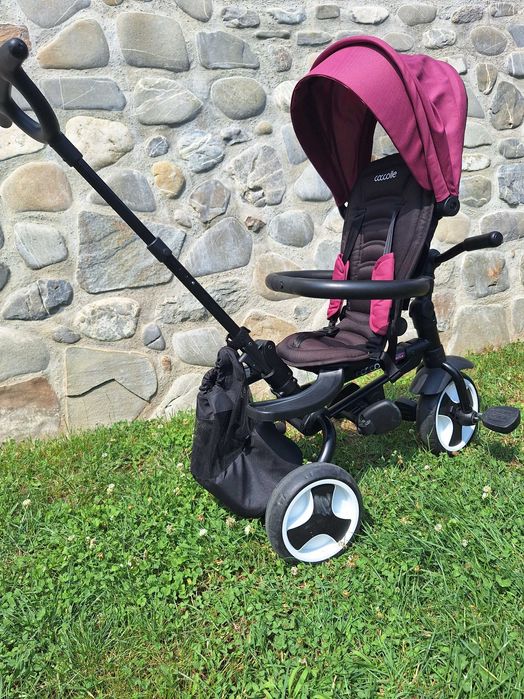 Tricicleta coccolle spectra