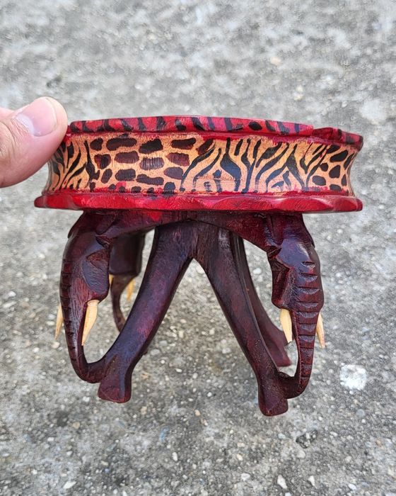 Scrumiera sculpata africana