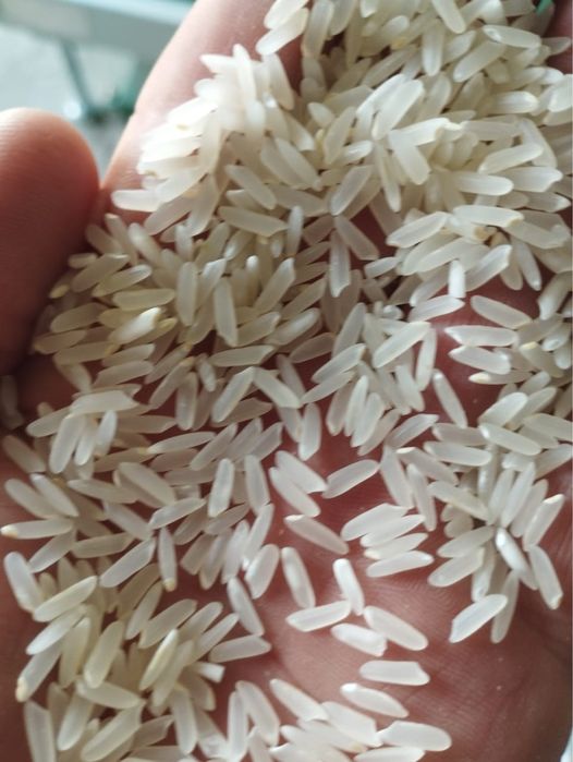 Куріш рис лазер для плова отборный Высшый сорт Хорезм 1000 кг