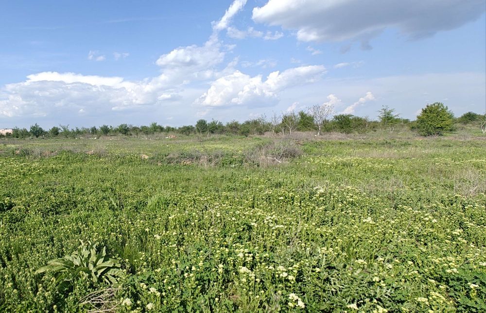 Teren  direct proprietar