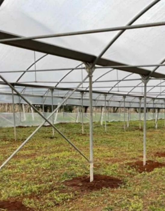 Оранжерия подцинкована