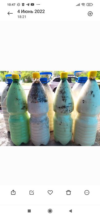 Кымыз - қымыз - кумыс - кумыз сатамыз.  Оптом.