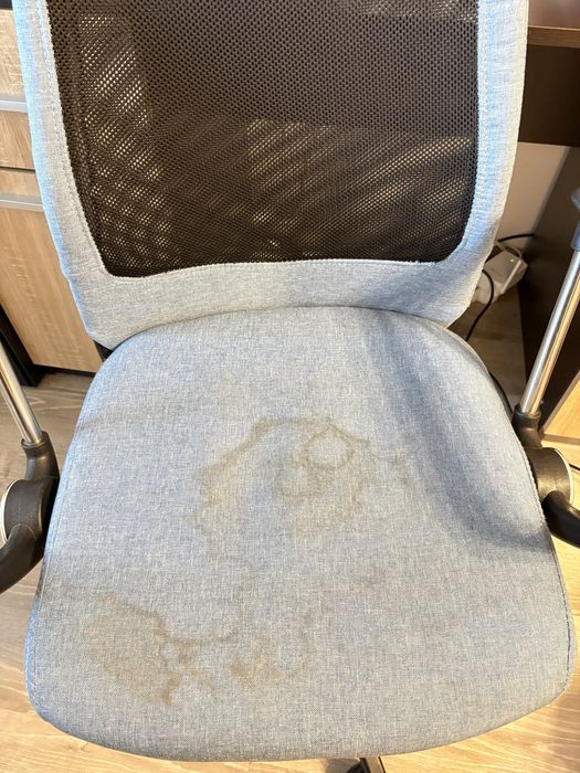 Curățare Profesională Canapele și Interior Auto (Textil) - Kärcher