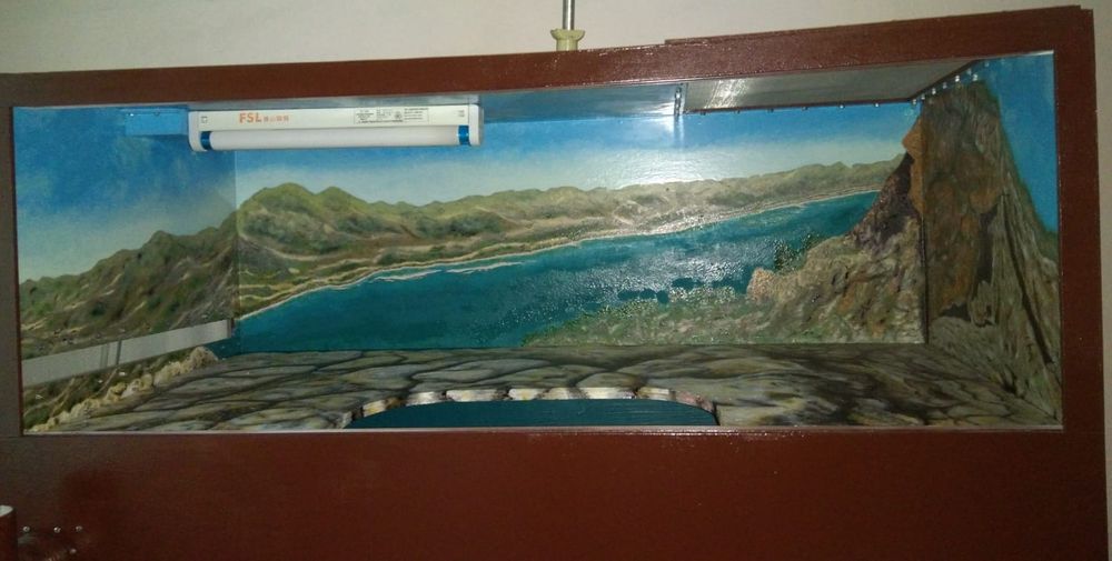 Террариум с пейзажем