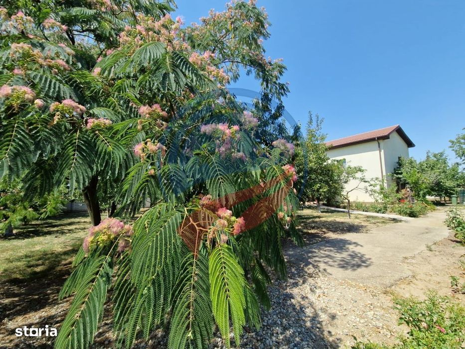 CASA P +E  5 camere -Cosoveni