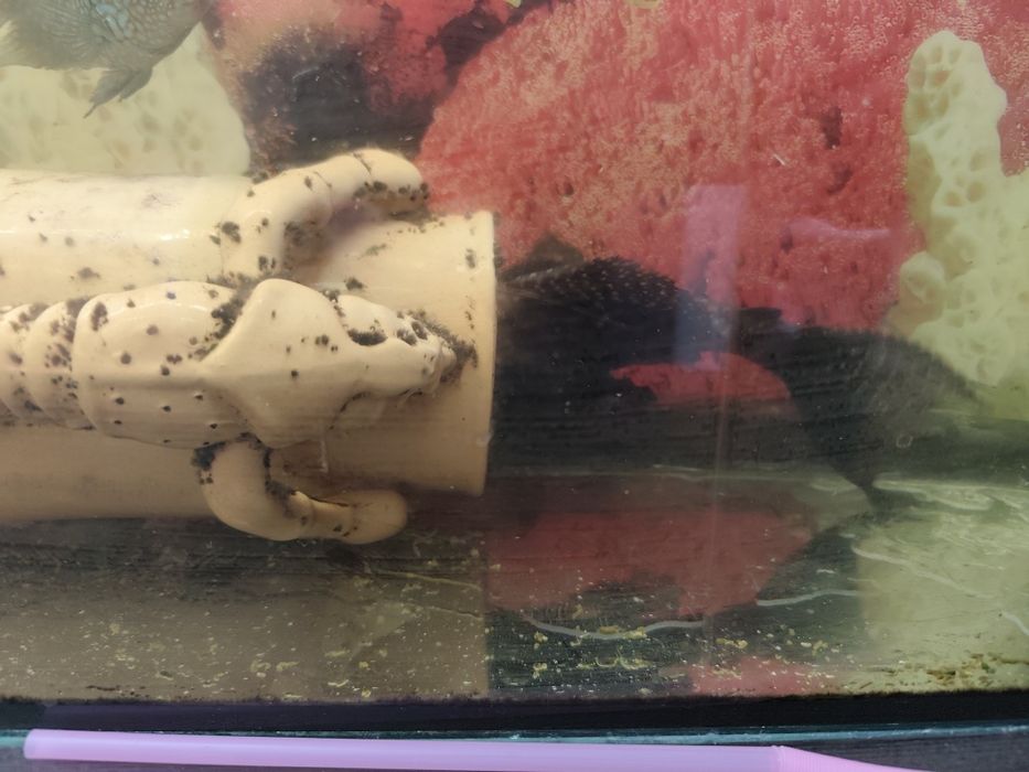 Продам аквариум с рыбками