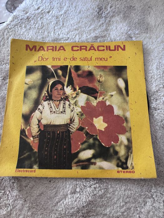 Discuri vinilin