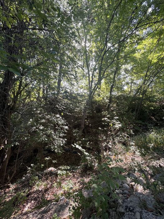 Morilor Teren constructii intravilan 3600mp