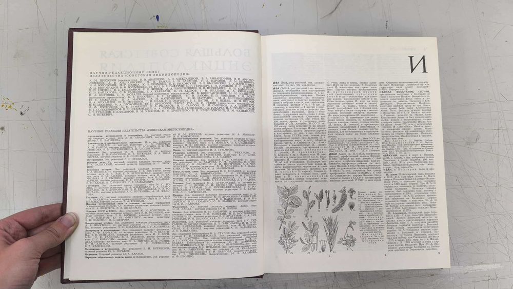 Большая советская энциклопедия - 1972 г. пълно издание