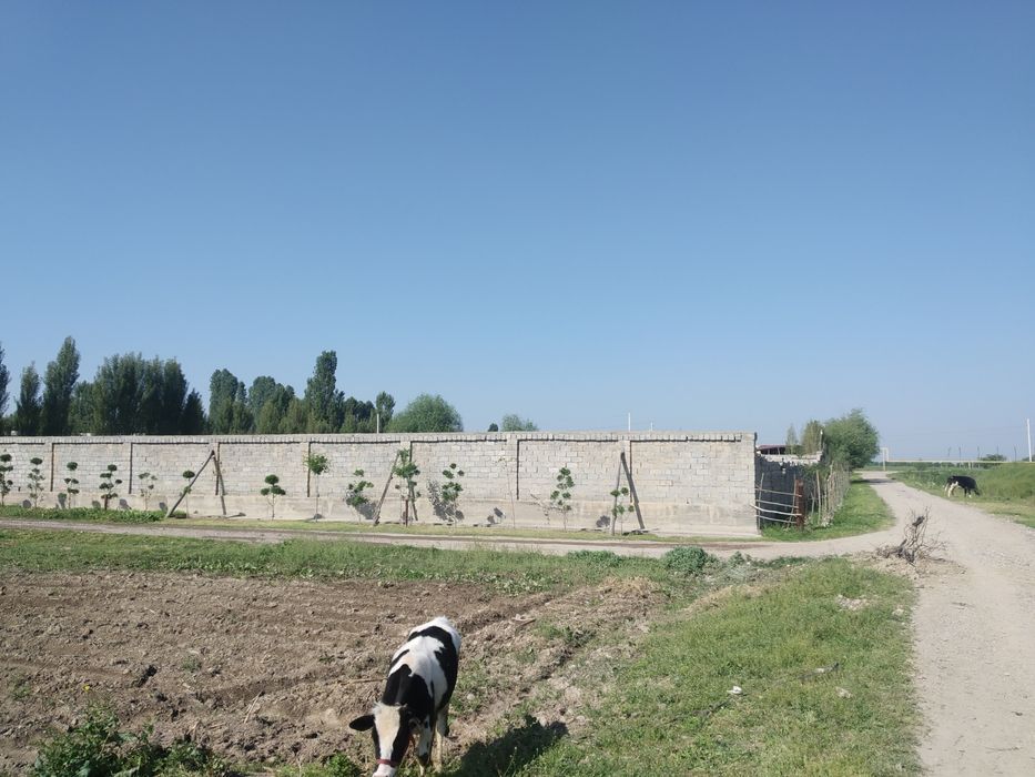 Ер сотилади 6000.