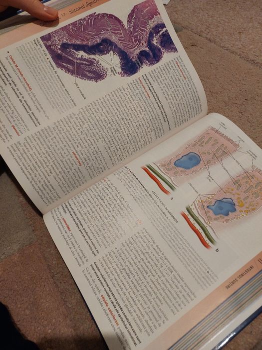 Atlas Histologie Ross