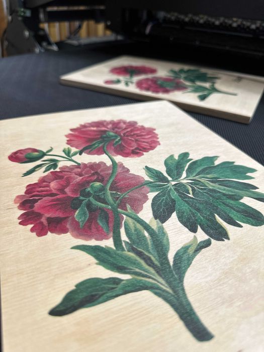 Imprimanta ambalaje si carton , TICAB TPS