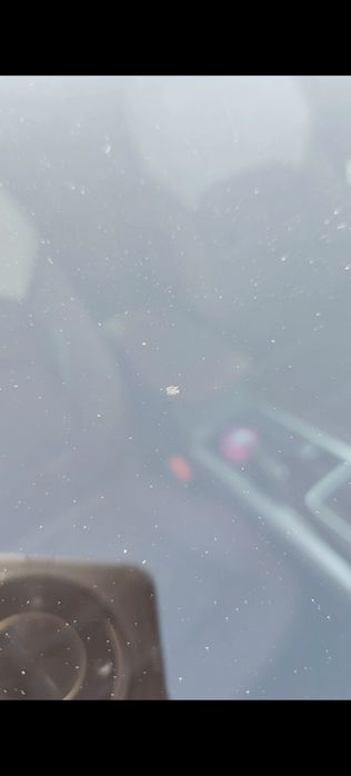 Avtooynalarni almashtirish va tamirlash xizmati Toshkentda