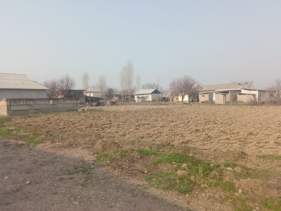 Курик йер 8 сотих сотилади