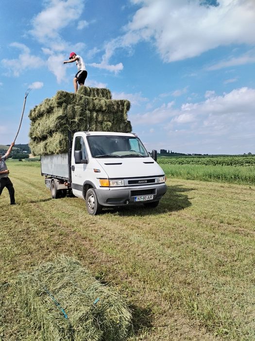 Vând baloti de lucernă