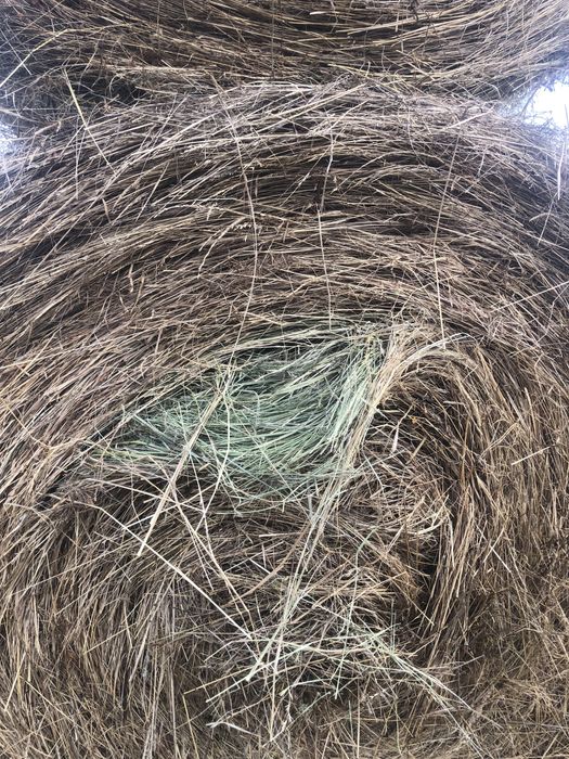 Vand baloti rotunzi de fân