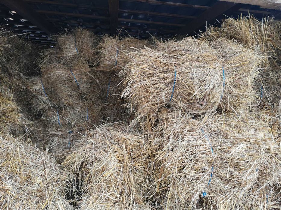 Baloti de fan cantitate mare