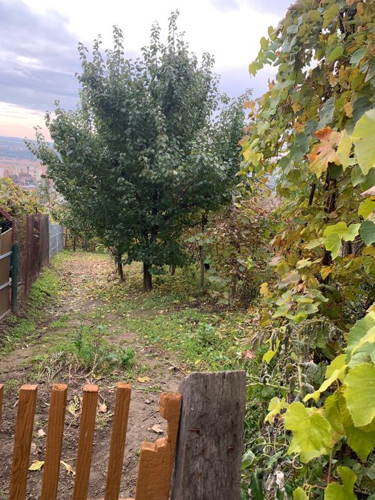 Casă de vânzare - BLAJ