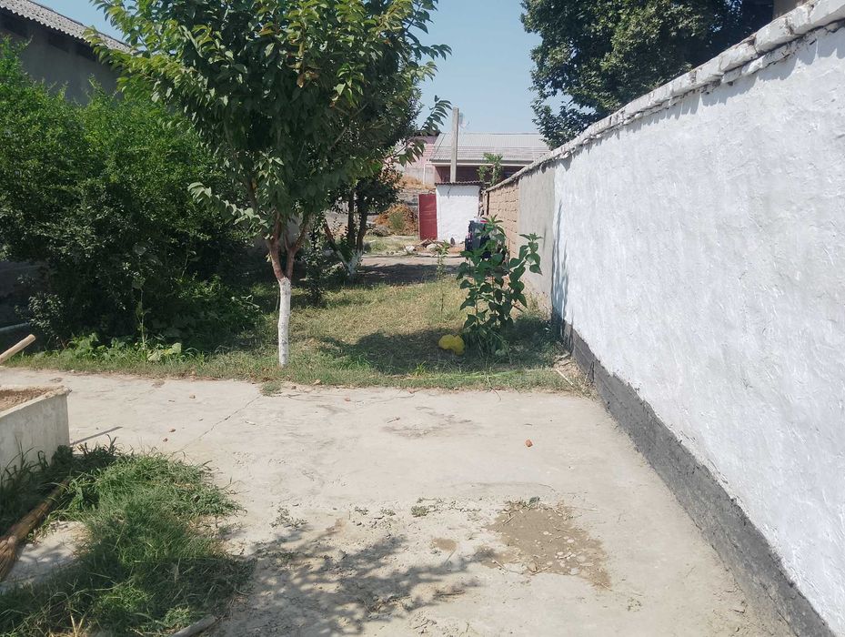 Племсавхозда ховли сотилади