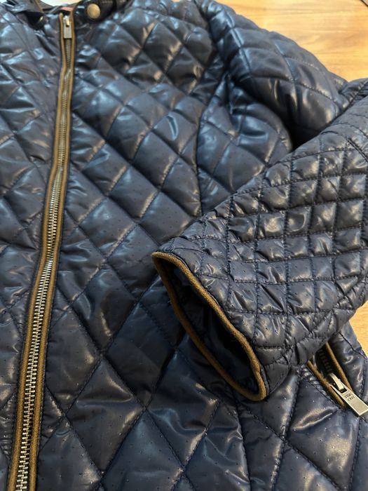 Jacheta matlasata Timeout