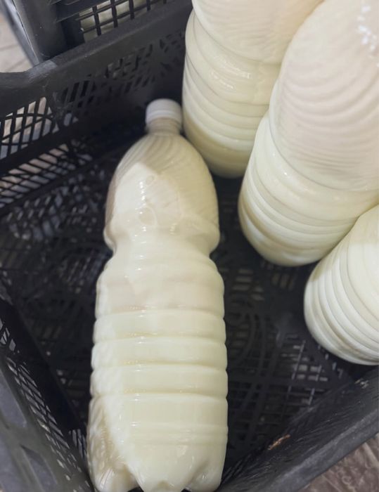 Продам домашние молоко оптом
