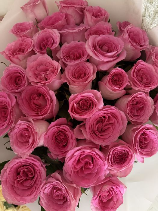 Цветы, букет роз в красивом оформлении