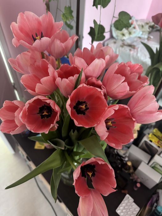 Тюльпаны опт розница