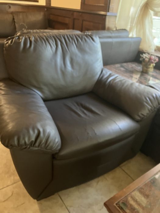 Кожени дивани  и фотьойл