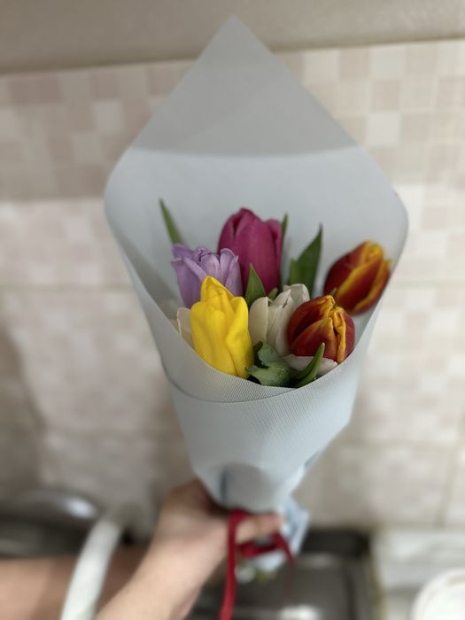 цветы тюльпаны ,маленькие.