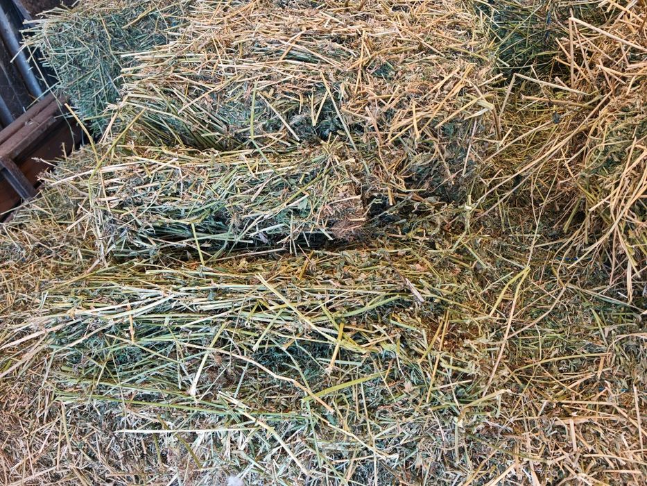 Baloti rotunzi(Borcea.,ovaz,triticale,mazare)250 lei