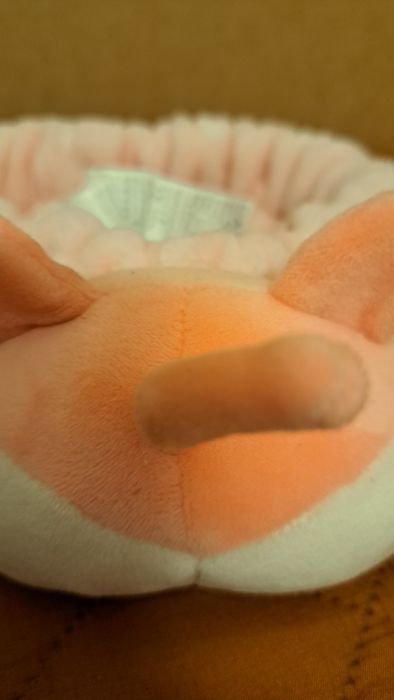 Bentita par Miniso model porc