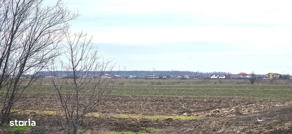 Teren intravilan Tartasesti, str.Magura, 2.000mp - 0%comision