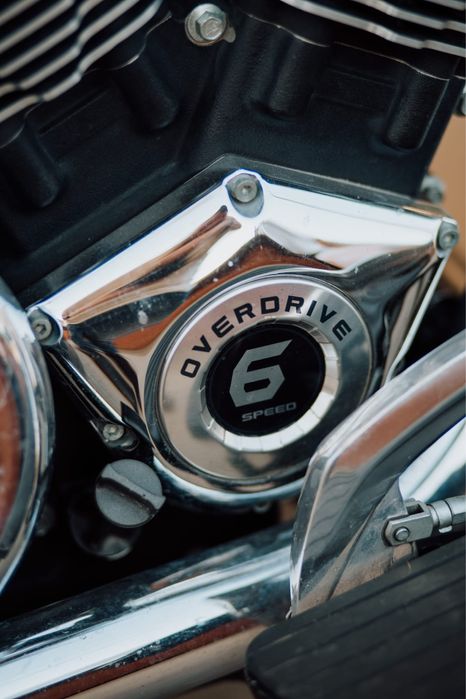 Victory King Pin 2010