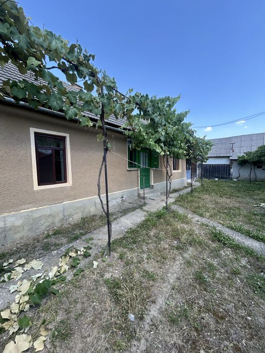 Vand Casa cu curte si gradina