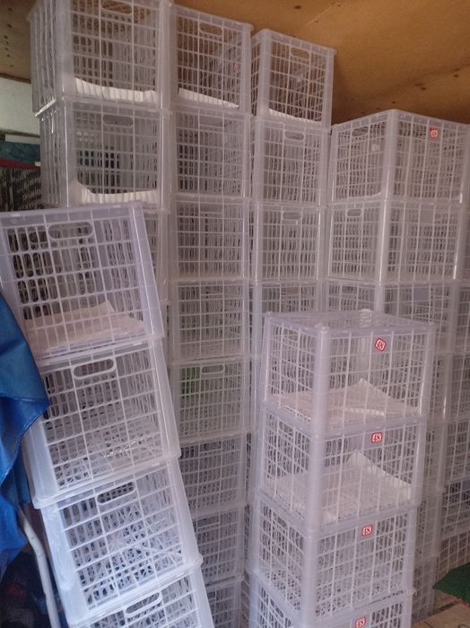 Продам ящики 100 150 штук есть