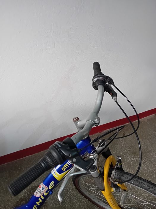 Bicicleta Venice